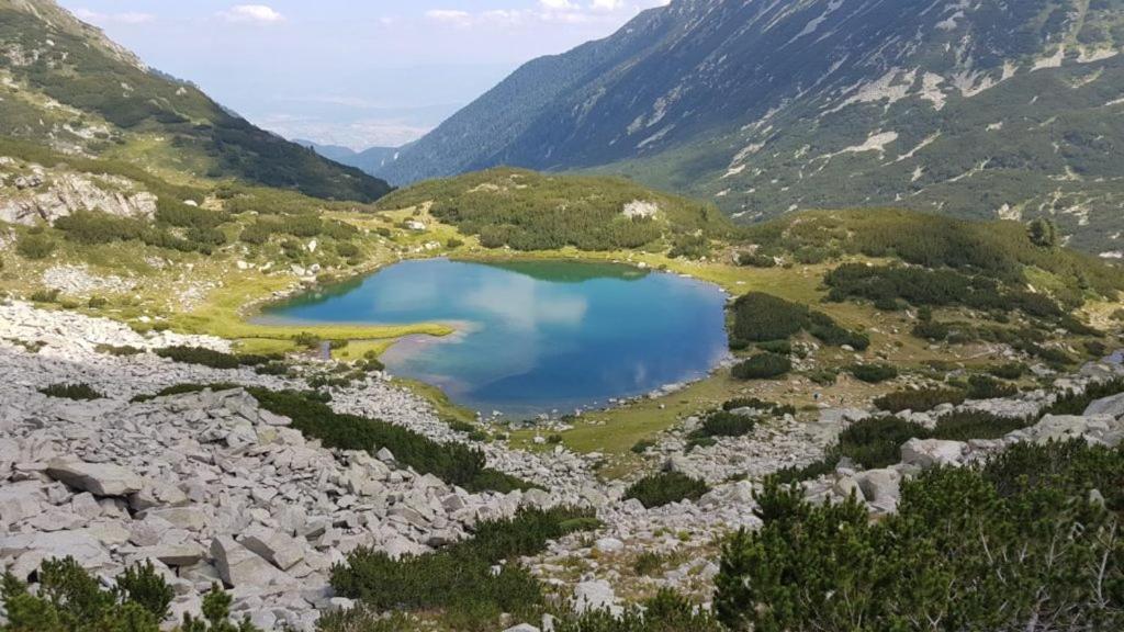 Pirina Club Hotel Bansko Dış mekan fotoğraf