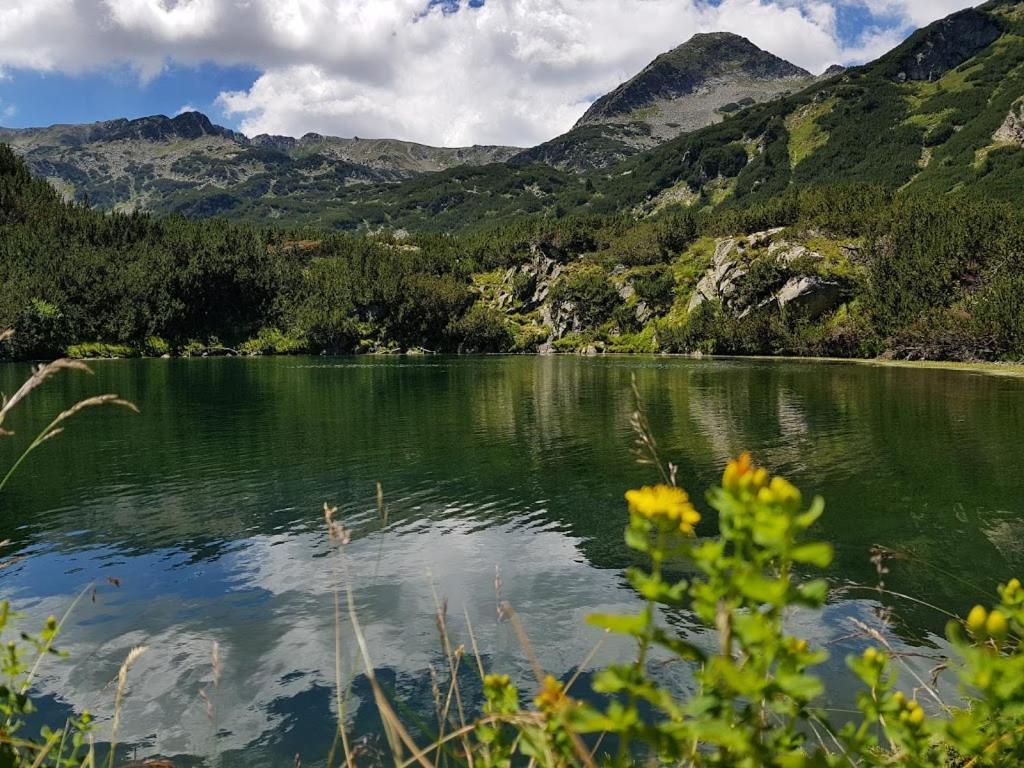 Pirina Club Hotel Bansko Dış mekan fotoğraf