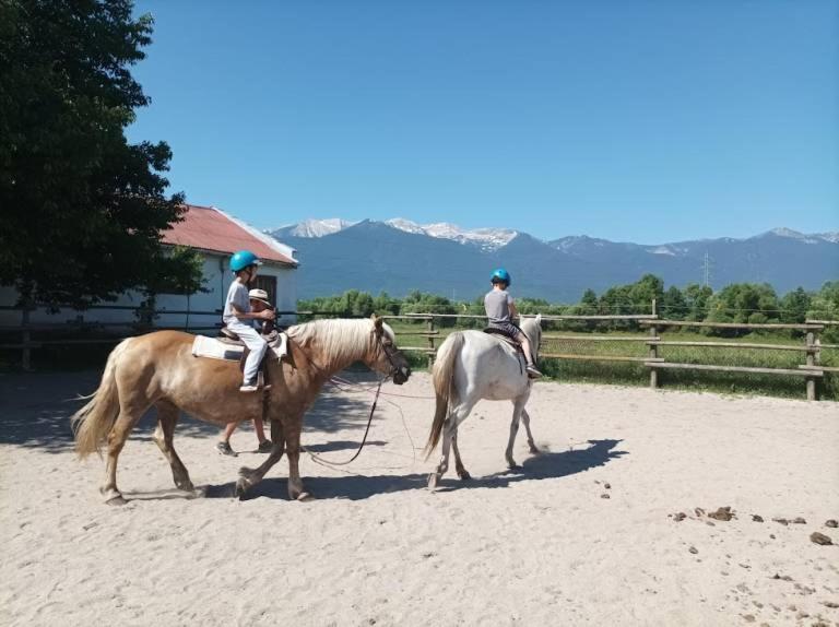 Pirina Club Hotel Bansko Dış mekan fotoğraf