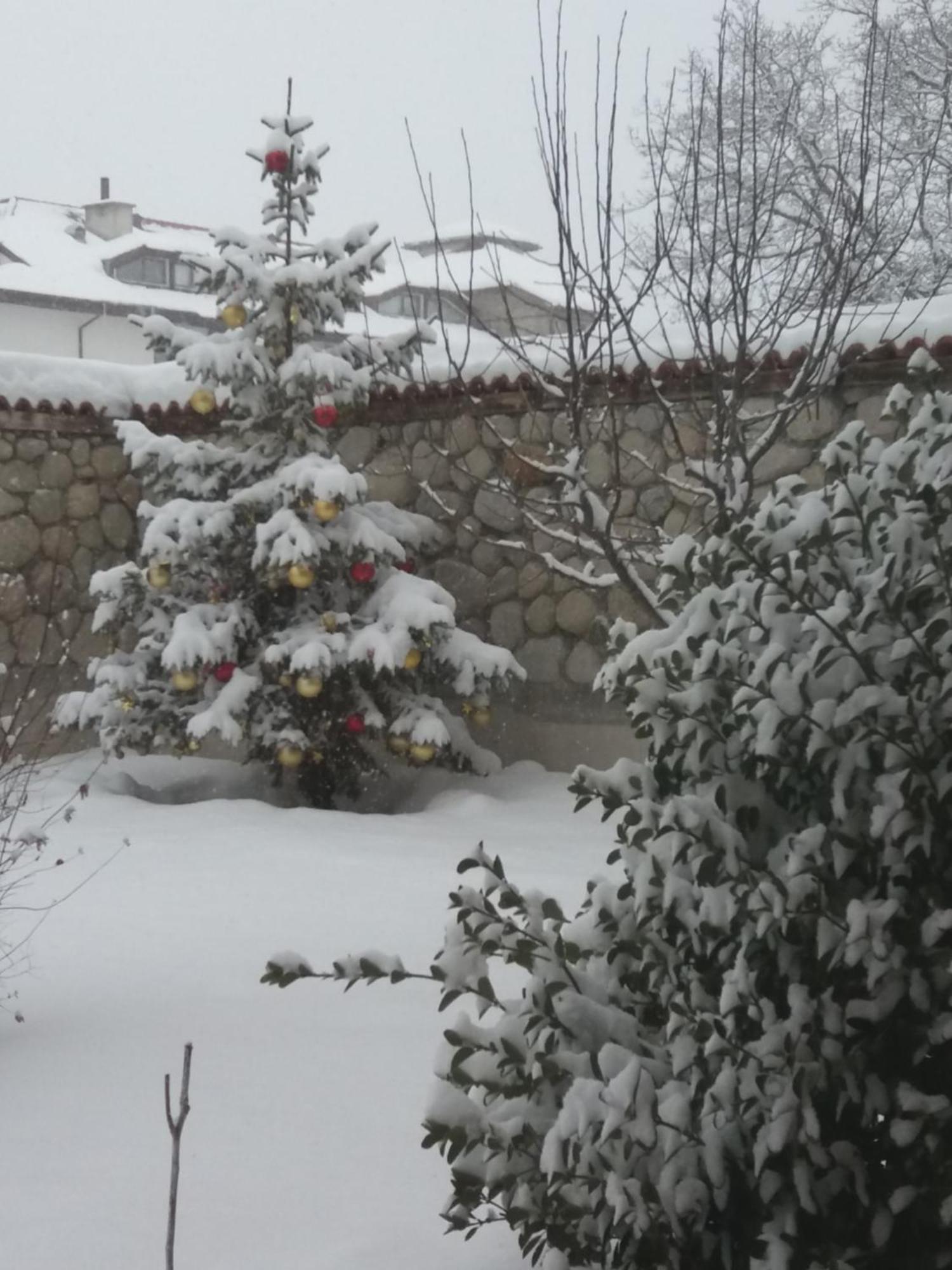 Pirina Club Hotel Bansko Dış mekan fotoğraf